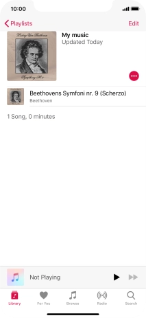 Go to the required category or playlist and press the required audio file.