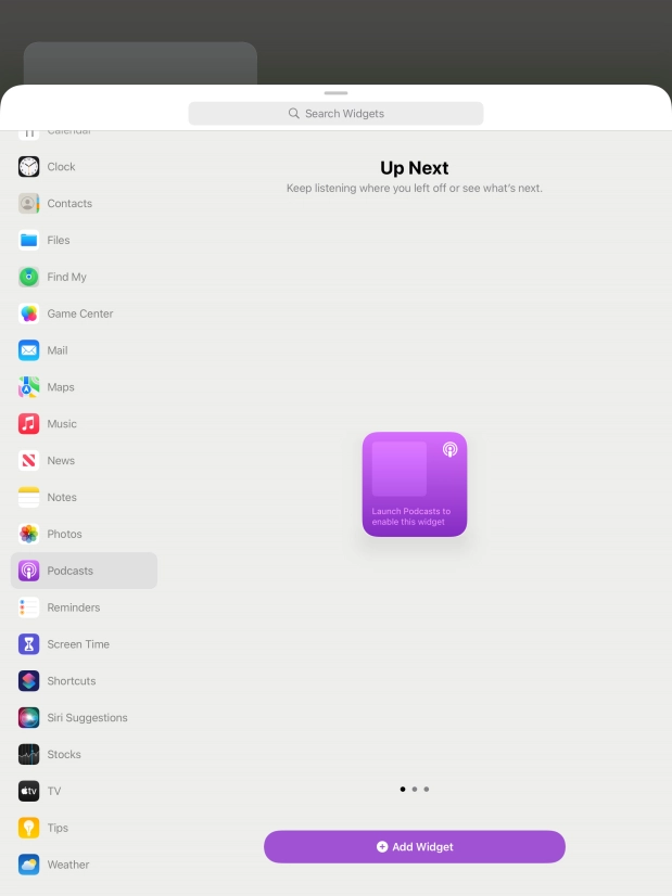 Slide your finger right or left on the screen to select the required widget size.