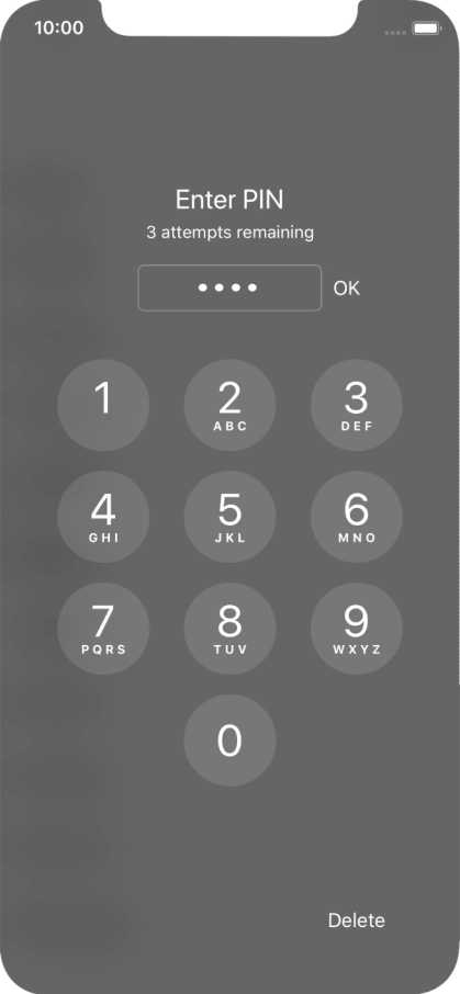 Key in your PIN and press OK.