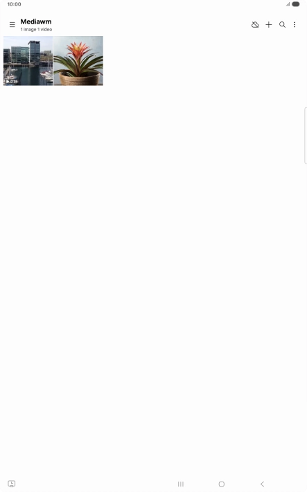 Press and hold the required picture or video.