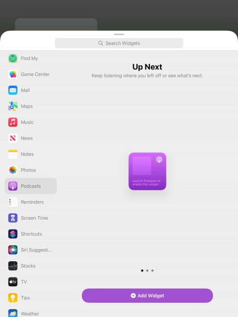 Slide your finger right or left on the screen to select the required widget size.