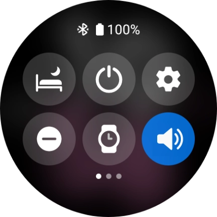 Press the suppression of calls and notifications icon to turn the function on or off.
