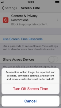 Press Turn Off Screen Time.