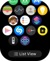 Press the Digital Crown to return to the home screen.