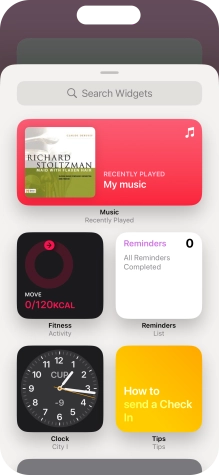 Press the required widget.