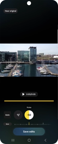 Press Mute to completely remove the selected audio type from the video.