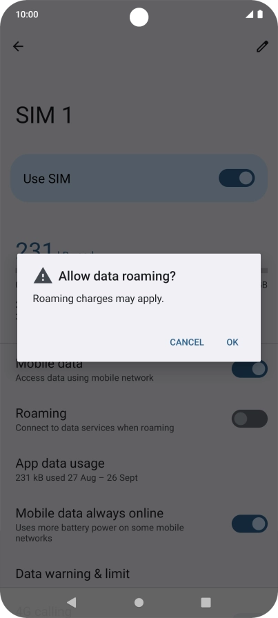 If you turn on data roaming, press OK.