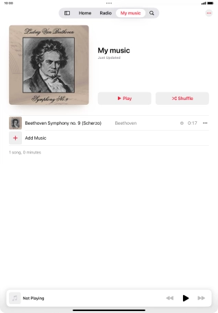 Go to the required category or playlist and press the required audio file.
