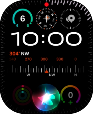 Say, in your own words, what you would like your Apple Watch to do.