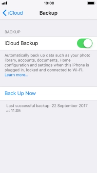 Press Back Up Now and wait while the phone memory is backed up.