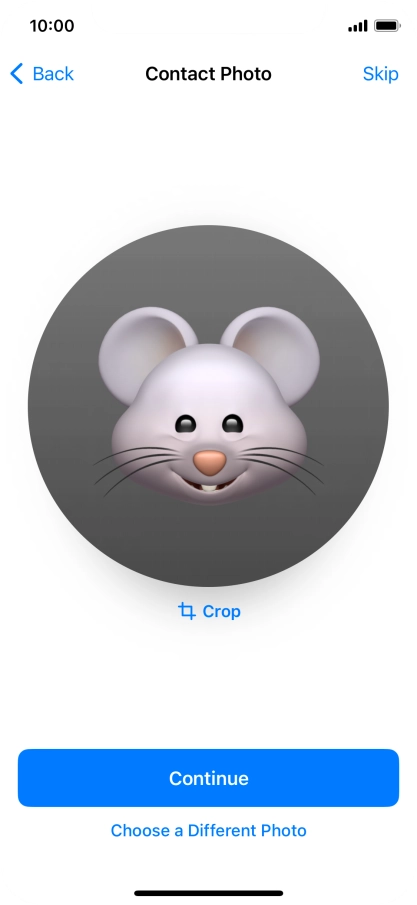 Follow the instructions on the screen to customise the selected picture and press Continue.