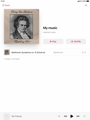Go to the required category or playlist and press the required audio file.