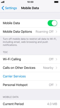 Press Mobile Data Options.
