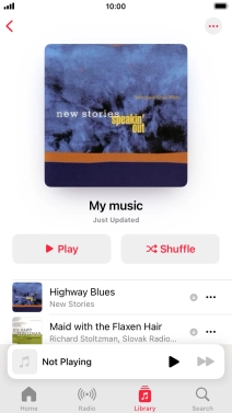 Go to the required category or playlist and press the required audio file.