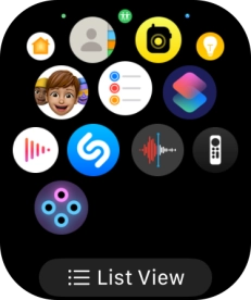 Press the Digital Crown to return to the home screen.