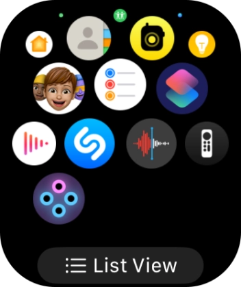 Press the Digital Crown to return to the home screen.