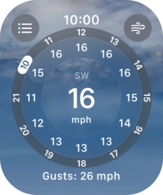 Press the Digital Crown to return to the home screen.