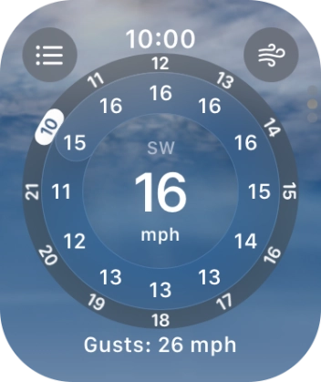Press the Digital Crown to return to the home screen.