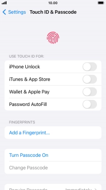 Press Turn Passcode On and key in a phone lock code of your own choice twice.