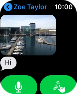 Press the microphone icon and follow the instructions on the screen to record and send the message.
