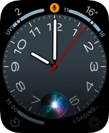 Say, in your own words, what you would like your Apple Watch to do.