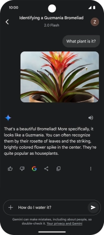 Follow the instructions on the screen to type or speak more questions to continue the conversation.