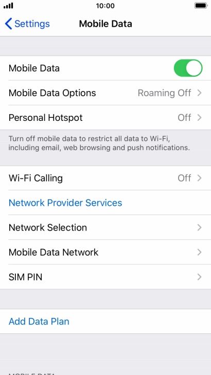 Press Mobile Data Options.
