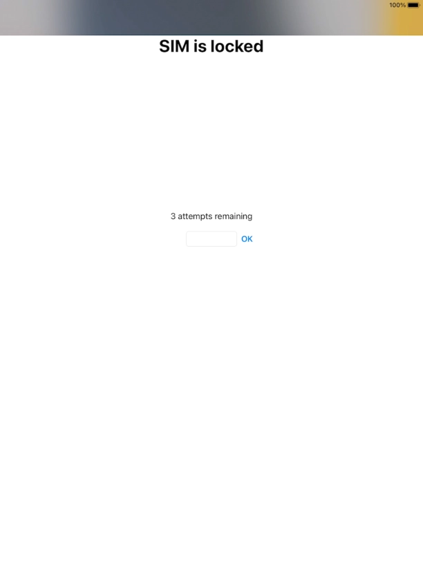 If your SIM is locked, key in your PIN and press OK.