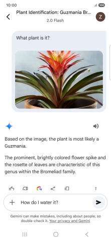 Follow the instructions on the screen to type or speak more questions to continue the conversation.