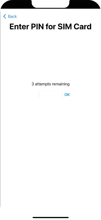 If your SIM is locked, key in your PIN and press OK.