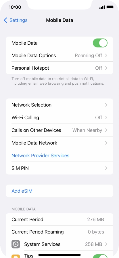 Press Mobile Data Options.