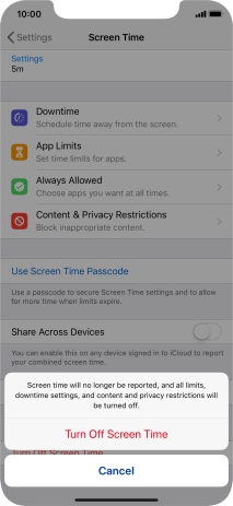 Press Turn Off Screen Time.