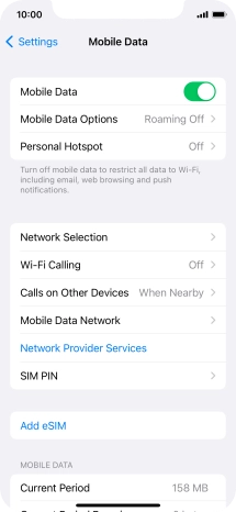 Press Mobile Data Options.