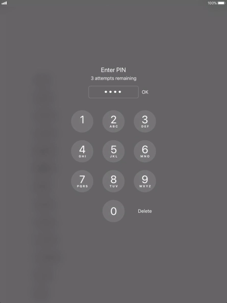 Key in your PIN and press OK.