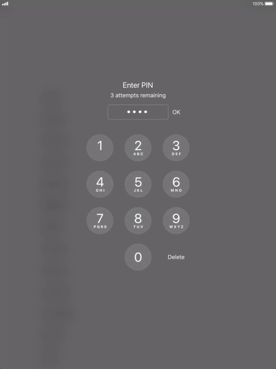 Key in your PIN and press OK.