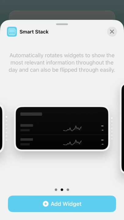 Slide your finger right or left on the screen to select the required widget size.