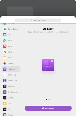 Slide your finger right or left on the screen to select the required widget size.