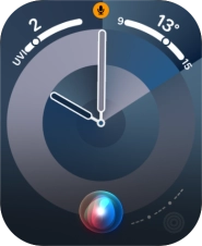 Say, in your own words, what you would like your Apple Watch to do.