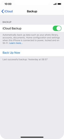 Press Back Up Now and wait while the phone memory is backed up.