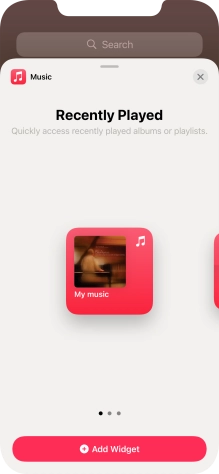 Slide your finger right or left on the screen to select the required widget size.