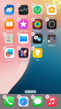 Press the home screen icon.