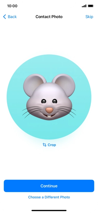 Follow the instructions on the screen to customise the selected picture and press Continue.