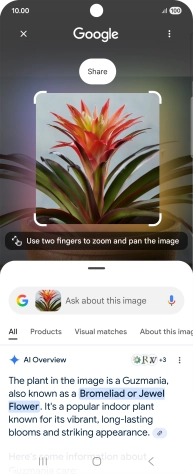 Follow the instructions on the screen to use the search results.