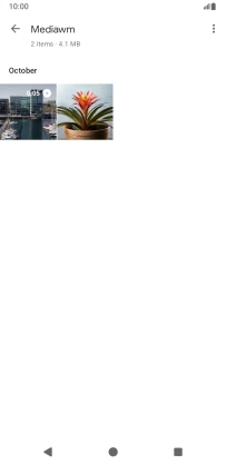 Press and hold the required picture or video.