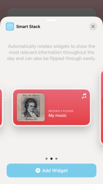 Slide your finger right or left on the screen to select the required widget size.