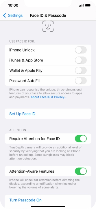 Press Turn Passcode On and key in a phone lock code of your own choice twice.