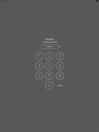Key in your PIN and press OK. 