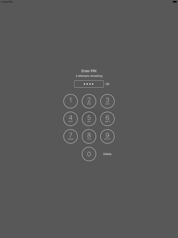 Key in your PIN and press OK. 