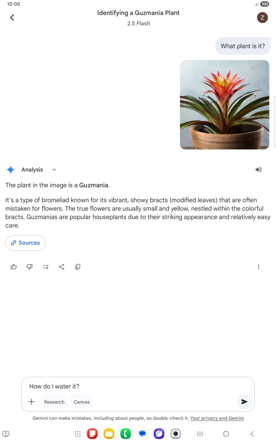 Follow the instructions on the screen to type or speak more questions to continue the conversation.