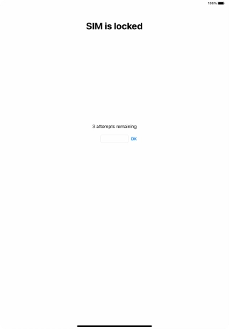 If your SIM is locked, key in your PIN and press OK.